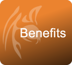 Tiger Scheme Benefits